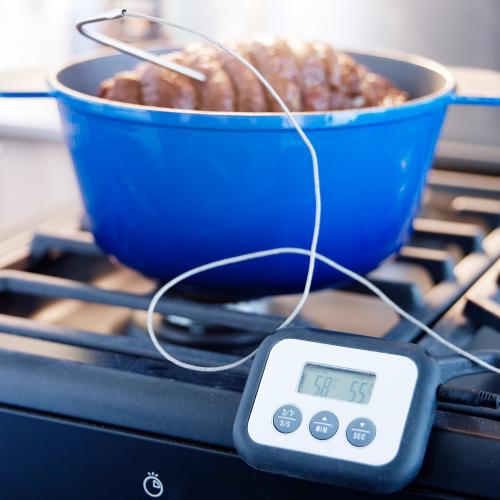 دماسنج پخت گوشت مدل FANTAST