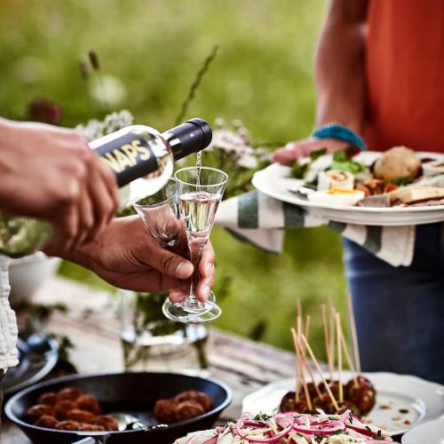 گیلاس شات شیشه ای مدل SVALKA 